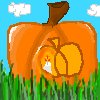 pumpkin into pumkpin