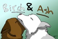 Birch and Ash `s New Cover