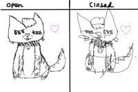 Drawing a cat with eyes open vs eyes closed