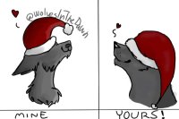 Mine vs yours - Christmas dog