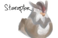 staraptor