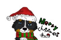 Christmas puppy colouring