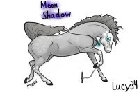 Moon Shadow
