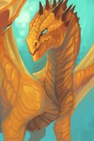 Orange Dragon: Q & A Thread (needs to be moved)