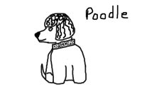 Poodle editable