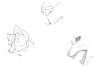 Random sketches