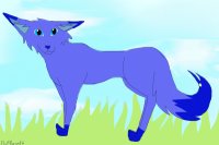 A blue fox... literally...
