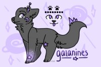 Galanines - open