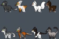 Cat Designs for Stargirl