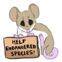 Help Endangered Species! Alabama Beach Mouse