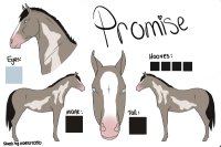 plastic promises - promise
