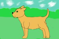 Dog Doodle