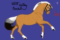 West Valley Ponies ~ ElizabethPine's Entries ~ Entry #2