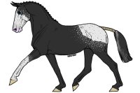 Stallion :P