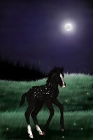 ~❊~ #21 Midnight Stallions Foal ~❊~
