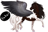 Pegasus Entry #3