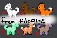 Free Dog Adopts!