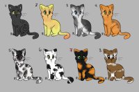 kitty adoptions! 7more Avalible!!