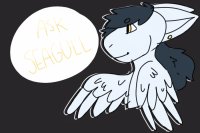 - ask seagull! -