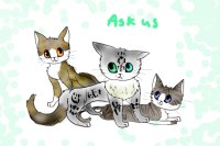 Ask the kitties (Before the comic comes out XD)