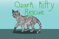 Ozark Kitty Rescue