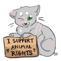 I support animal rights