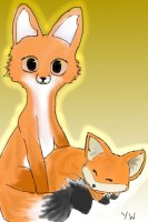 Foxes :D