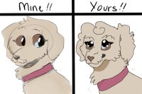 Selkie's puppy: Mine Vs Yours