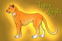 Plains Tignix #04- Flame with Minimum White