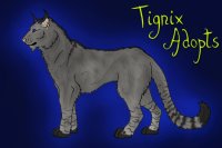 Mountain Tignix #03- Grey Primivia