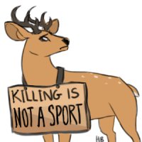 Killing is not a sport