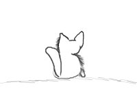 lil cat