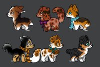 2/6 open adopts
