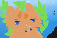 Seaweed pup