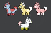 PUPPERS FOR SALE <3