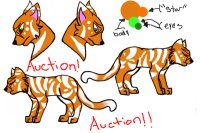 First Character Auction!