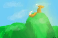 Fox on a hill