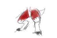 Lycanroc's legs, I guess