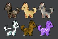pup adopts (wrong thread please delete)