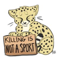 Free Avatars! Cheetah Kitty