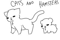 Cats and hamsters