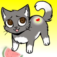 cat with watermelon powers:D