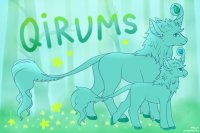 Qirum Adopts