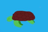 Yay turtles