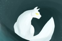 Night spirit cat