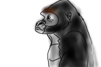 Quick gorilla