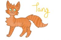 Tang (Entry 1)