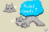 Pocket Goats || Grand Opening Event!