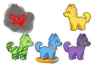 Pup adoptables