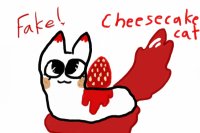 Cheesecake cat